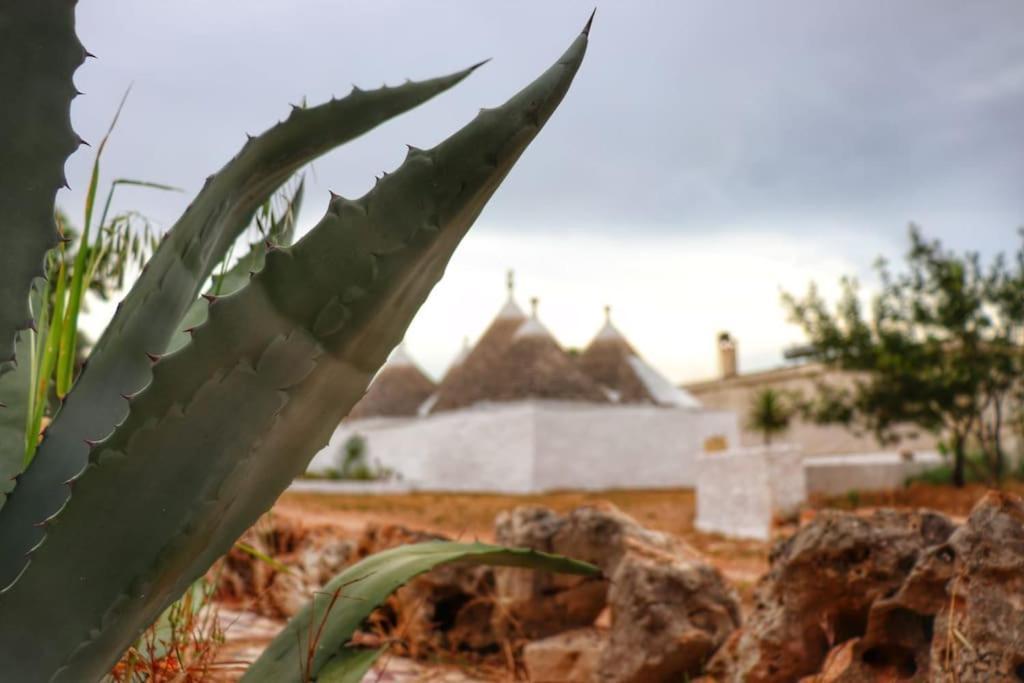 I Trulli D'A Ross Vila Ceglie Messapica Exterior foto